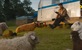 Novi trailer i poster za "The Sheep Detectives" s Hughom Jackmanom i Emmom Thompson