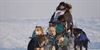 Alaska's Great Race