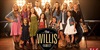 Obitelj Willis