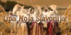 Lipa moja Slavonija