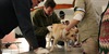 Safari Vet School