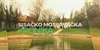 Sisačko-moslavačka kronika