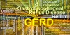 GERB: Više od žgaravice