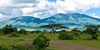 Serengeti