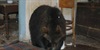 /images/70f4f89c-cc30-4fbe-82fa-9446da28eb78.jpg