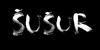 Šušur