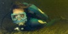 Jean-Michel Cousteau: Oceanske pustolovine