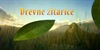 Drevne žitarice