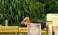 "Survivor" - Borba za završnicu ulazi u odlučujuću fazu!