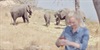 Kulinarski safari Sare Graham