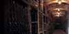 Vina Croatia