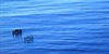 /images/eda718dc-006e-4851-845a-8548fc7d68a6.jpg