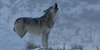 /images/ee4e7cca-d555-4b97-b27b-580dcdb43de2.jpg