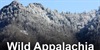 Divljina Appalachije
