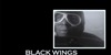 Black Wings