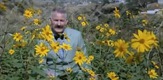 Emisija koja ide na televiziju oko 9 uveče