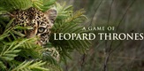 Igre leopardskog prijestolja