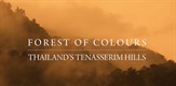 Forest of Colours - Thailand's Tenasserim Hills