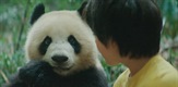 Moon le panda / Moon The Panda