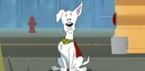 Krypto Saves the Day!