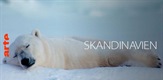 Skandinavija