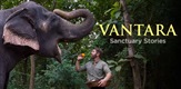 Vantara: Sanctuary Stories