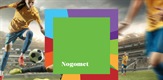 Svjetsko prvenstvo u nogometu za žene