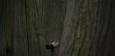 Silent Friend / Stille Freundin