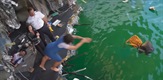 Deep Water