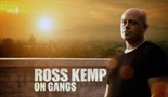 Ros Kemp u svetu bandi