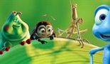 Življenje žuželk 