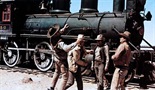 THE TRAIN ROBBERS