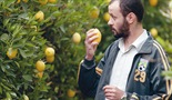 Etz Limon / Lemon Tree