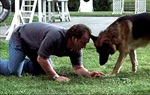 K-9: Privatni detektiv