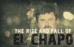 Uspon i pad El Chapa