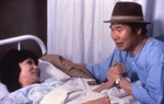 Tora i Lily na Okinawi