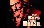 Momci iz Brazila