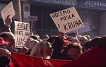 Gazda: Početak