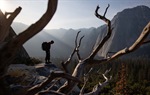 Free Solo