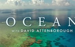 Ocean s Davidom Attenboroughom