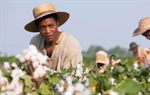 Steve McQueen optužuje filmsku industriju za ignoriranje ropstva