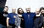 Hladno pivo u šumskoj izolaciji dovršava novi album!