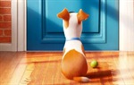 VIDEO: Što rade kućni ljubimci dok nas nema kod kuće?