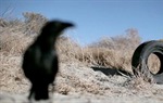 Neobičan film u kojem doslovno oživi automobilska guma!