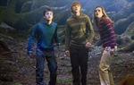 Harry Potter i Red feniksa