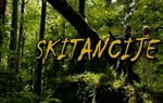 Skitancije
