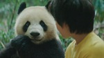 Moon: Veliki panda