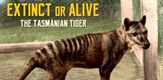 Izumrli ili živi: Tasmanijski tigar