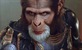 Tim Roth objasnio kraj "svog" Planeta majmuna