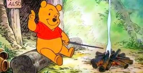 The Many Adventures Of Winnie The Pooh